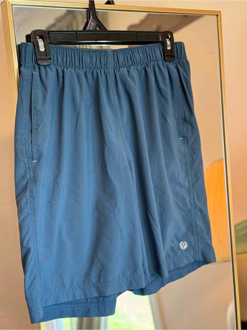 Free Fly REI Men’s Shorts